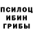Псилоцибиновые грибы Psilocybe Rabbit Sweet