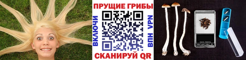 Галлюциногенные грибы Cubensis  kraken как зайти  Лесозаводск  где купить  